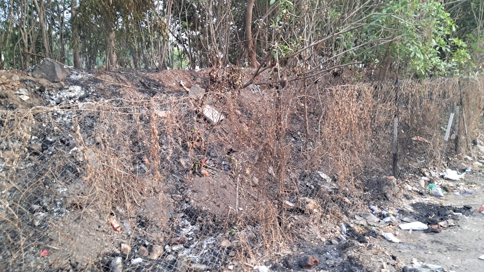 मनपाच्या घनवन प्रकल्पाला आग; कचर्‍याला लागलेल्या आगीमुळे झाडांचे नुकसान; आगीचे वारंवार प्रकार होत असल्याची चिंता