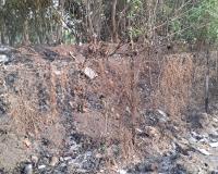 मनपाच्या घनवन प्रकल्पाला आग; कचर्‍याला लागलेल्या आगीमुळे झाडांचे नुकसान; आगीचे वारंवार प्रकार होत असल्याची चिंता