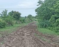 नंदापूरच्या रमाई नगर दलित शेतवस्तीकडे जाणारा रस्ता चिखलमय; वर्षानुवर्षे नागरिकांची फरफट