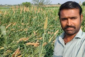 जालना जिल्ह्यात अवकाळी पाऊस व गारपीट; चार जनावरांचा मृत्यू, पिकांचे मोठे नुकसान