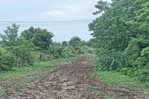 नंदापूरच्या रमाई नगर दलित शेतवस्तीकडे जाणारा रस्ता चिखलमय; वर्षानुवर्षे नागरिकांची फरफट
