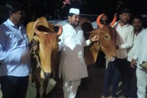 बाजीउमरद येथे अर्जुनराव खोतकर यांच्या हस्ते बैलांची विधीवत पूजा